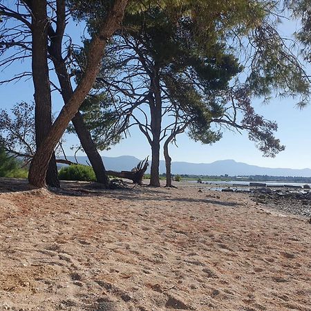 Penthouse Apartman Marcelina In Trogir Luaran gambar